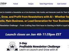 5 Day Profitable Newsletter Challenge Review