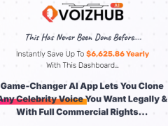 VoizHub AI Review